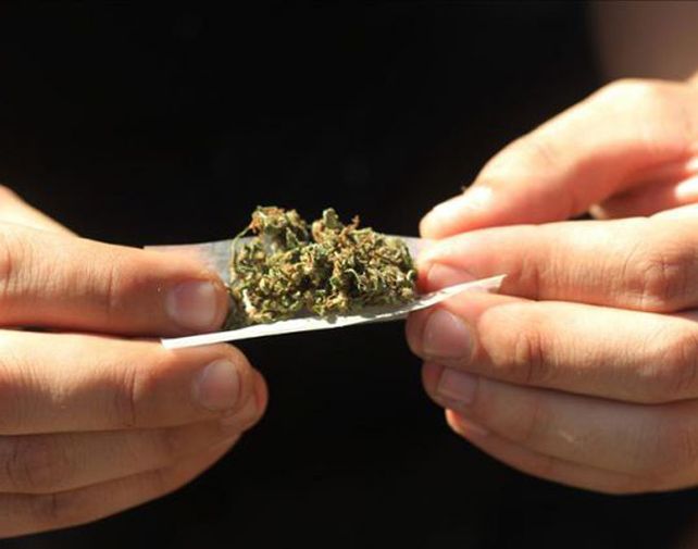 Asocian el consumo de marihuana al crecimiento de los senos.