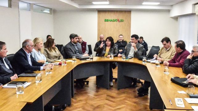 El proyecto de sostenibilidad de deuda pública que trata el Senado autoriza al Ejecutivo a concretar operaciones financieras de crédito hasta 500 millones de dólares&nbsp;