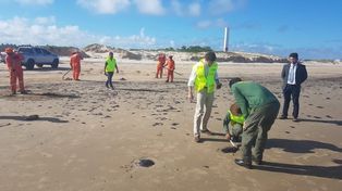 Fiscalía acusa a Bolsonaro de omisión por el crudo vertido