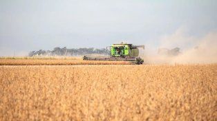 El Niño desapareció: el agro santafesino advierte que si no hay lluvias habrá pérdidas muy importantes