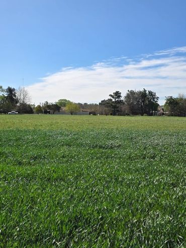 Corredor biológico en campos de Santa Fe
