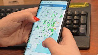 La red de vigilancia apícola activa fortalece el monitoreo del pequeño escarabajo de las colmenas
