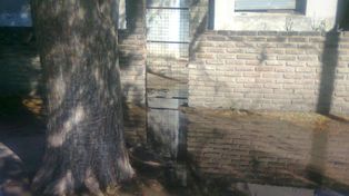 Barrio Alfonso: vecinos de la zona denuncian el ingreso de líquidos cloacales a sus casas