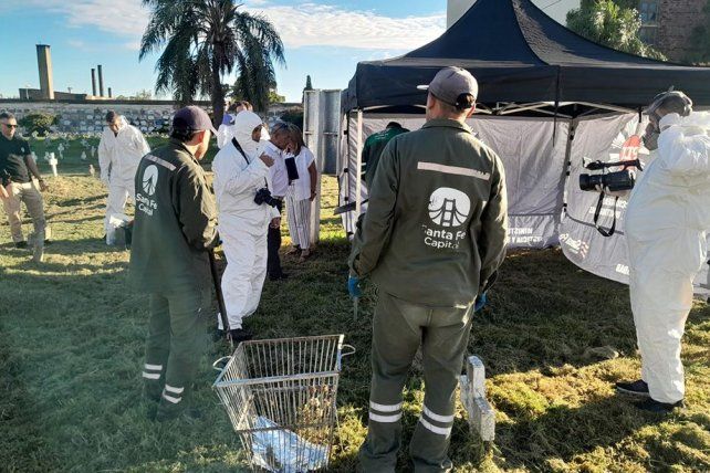 Santa Fe. Exhumaron los restos de una mujer en el cementerio de Santa Fe para determinar si es hija de desaparecidos