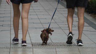 El tiempo en Rosario: la temperatura sube este miércoles y seguirá en alza