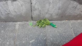 Murió por un aborto hecho con una rama de perejil