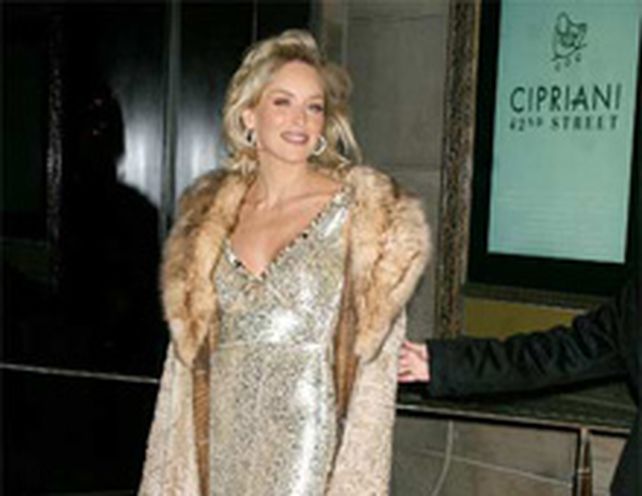 Una asociaci&oacute;n de defensa de los animales quiere estudiar el cerebro de Sharon Stone