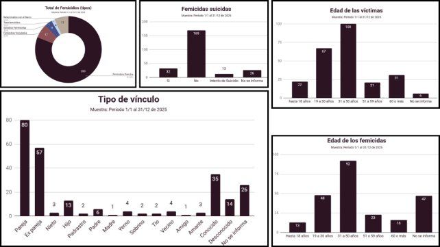El Observatorio de Femicidios de la Defensoría del Pueblo de la Nación registró 247 víctimas en 2025. Entre Ríos tuvo una tasa de incidencia de 0
