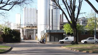 Saputo destronó a Mastellone en el ranking de industrias lácteas
