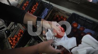 El precio del cajón de tomate se duplicó en los últimos días y se vende a $18,90