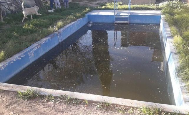 Una nena murió ahogada y otra está grave tras caer en piletas de natación