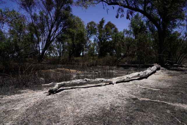 El paso de los incendios por la Isla de los Mástiles, en imágenes