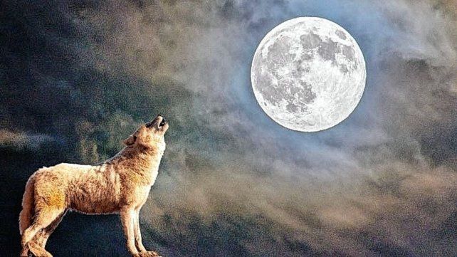 Luna de lobo, cometa y meteoros para el primer mes del 2023