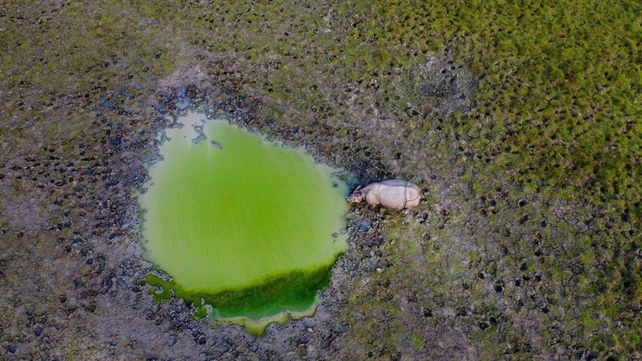 Drone Awards 2020: las mejores fotos aéreas durante la pandemia