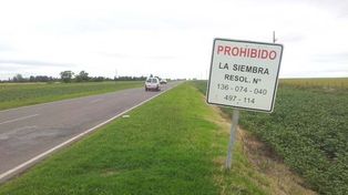 Vialidad comenzó a destruir los sembrados en las banquinas