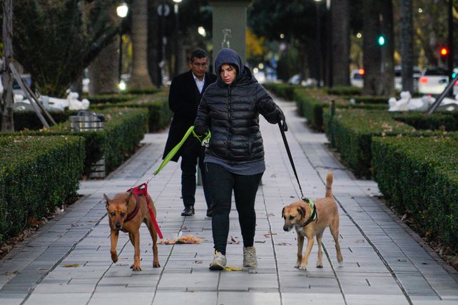 El tiempo en Rosario: un domingo con niebla y poco sol