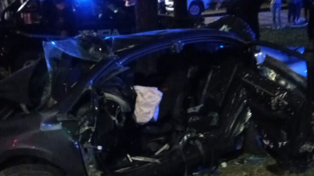 Tres personas murieron al chocar un auto contra un árbol en el norte de ...
