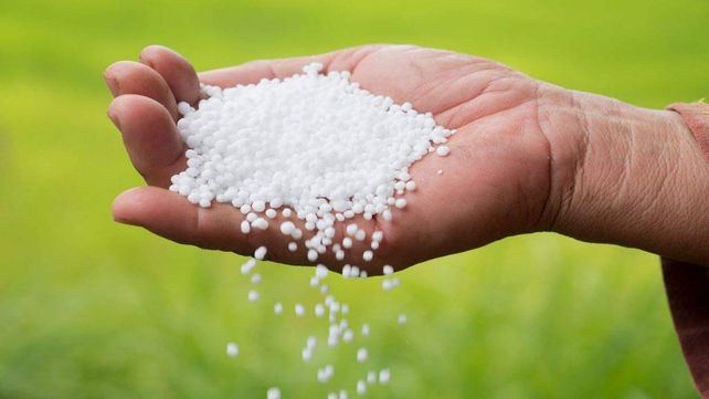 El más usado. La urea representó el año pasado el 40% del total de los fertilizantes aplicados en el país. Es el más utilizado en su tipo en Argentina.