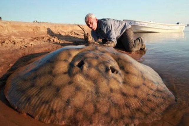 El monstruo argento del Paraná