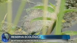 Preocupa la aparición de peces muertos en la reserva ecológica