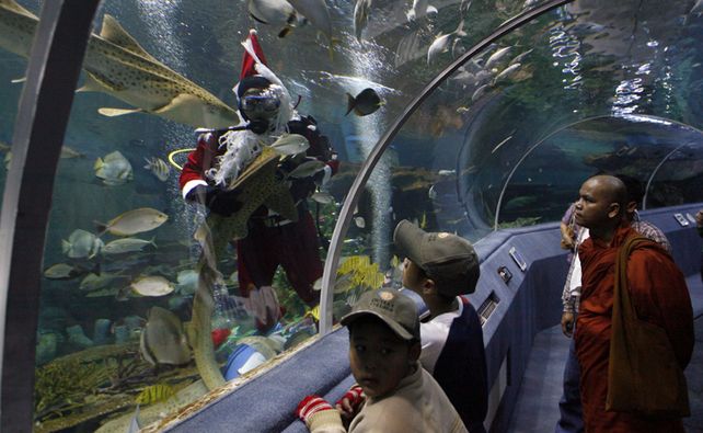 El mundo recibi&oacute; la Navidad con grandes festejos y pedidos de paz y unidad