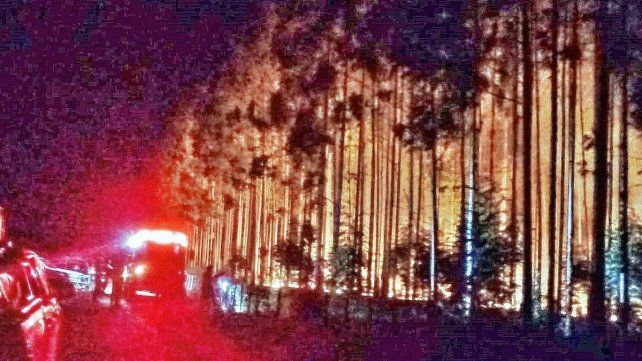 La declaración de alerta roja determina un alto riesgo de incendios
