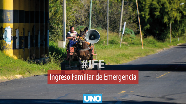 A quiénes se acredita el IFE este viernes