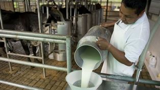 Más de 40 bebés argentinos nacen por día con alergia a la proteína a la leche de vaca