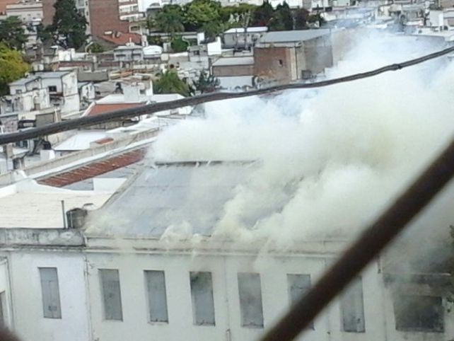 Foto Gentileza Fernando López.&nbsp;