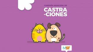 Castraciones gratuitas: el programa municipal atenderá en la Vecinal Iriondo en Santo Tomé