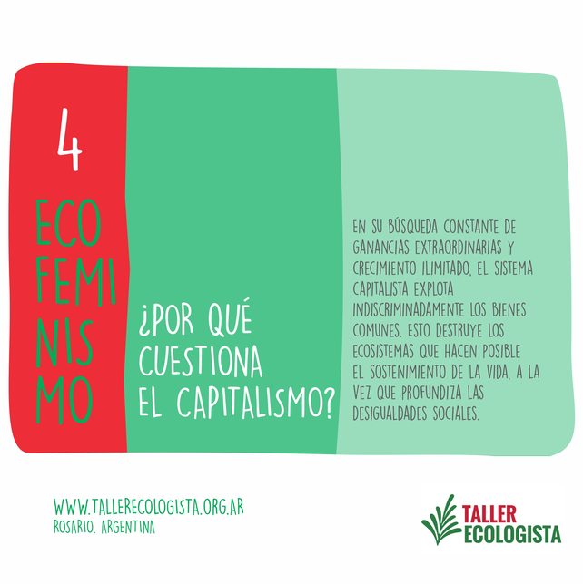 Cinco preguntas básicas sobre Ecofeminismo. Fuente: Taller Ecologista.