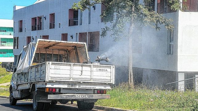 Se trata de los mosquitos aedes albifasciatus que es grande y molesto pero no transmite ninguna enfermedad