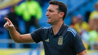 Lionel Scaloni, DT de la selección argentina.