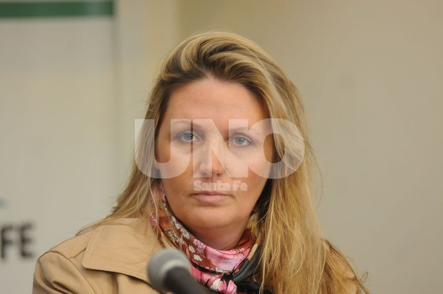 Geese afirmó que Nación y provincia compartirán costos para mantener la tarifa social