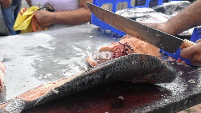 Semana Santa en Santa Fe: venderán pescado de río a precios accesibles y con stock limitado