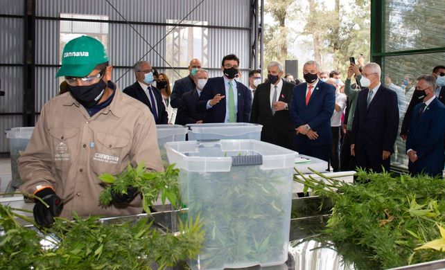 Jujuy comienza a proveer a las farmacias el aceite de cannabis de producción estatal