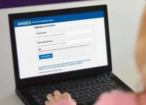 Anses: cómo registrar el detalle de los aportes realizados