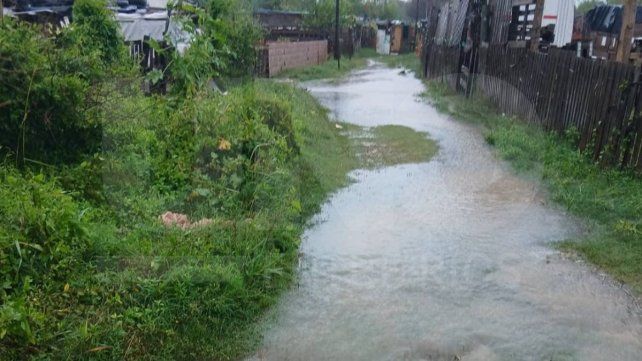 Vecinos el barrio Arturo Illia de Paraná siguen esperando mejoras básicas. Advierten que el abandono impide ingreso de servicios de salud