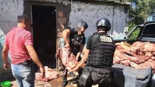 Secuestraron 700 kilos de carne vacuna de animales robados, durante un procedimiento antidrogas