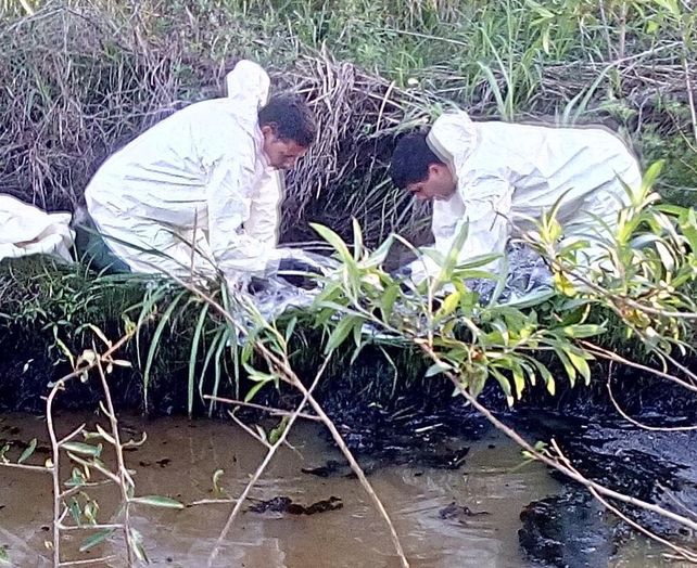Especialistas trabajando en el arroyo contaminado. Foto Secretaría de Ambiente.&nbsp;