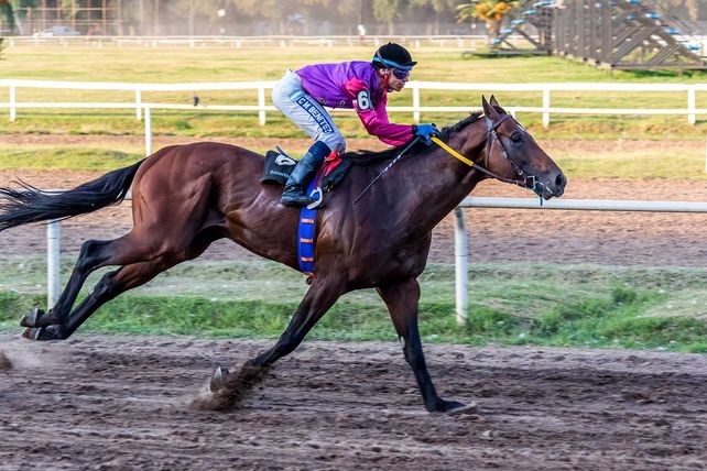 El último. De Una Vida Nocturna ganando el Clásico Apertura y del jockey Maxi Benítez que ya se radicó en Buenos Aires