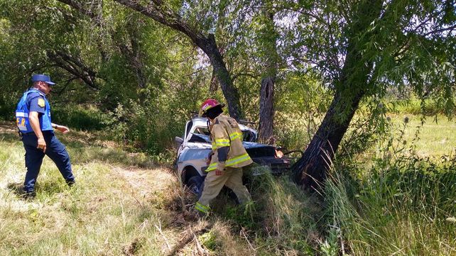 Despistó y chocó contra un árbol