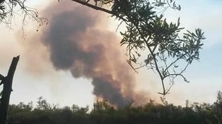 Desde hace dos meses hay incendios intencionales en los humedales santafesinos