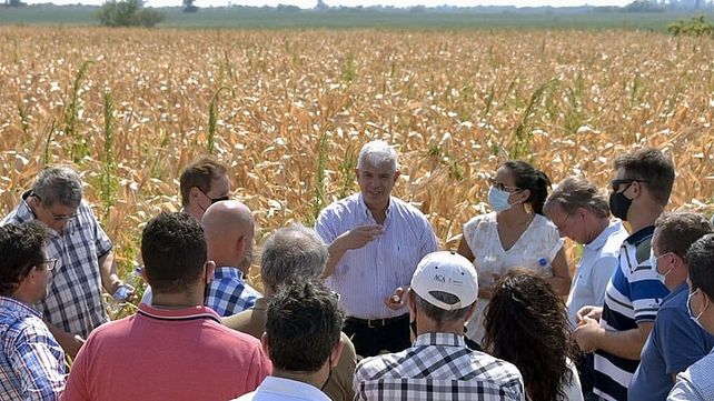 Más de 1.600 productores se adhirieron a la emergencia agropecuaria declara a raíz de la sequía y serán asistidos financieramente