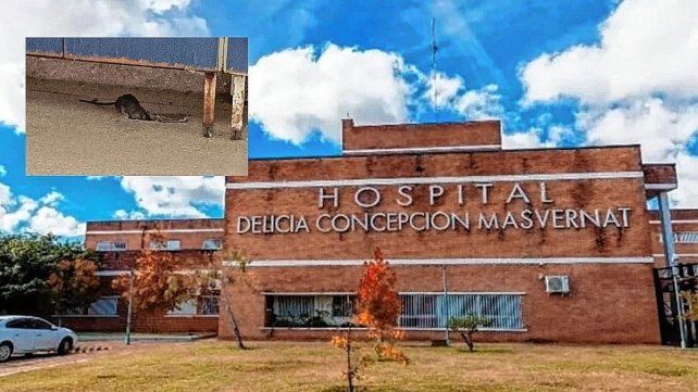 En el Masvernat buscarán evitar que vuelva a ocurrir este tipo de situaciones.
