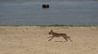 Viernes caluroso en la previa de una semana que no dará tregua