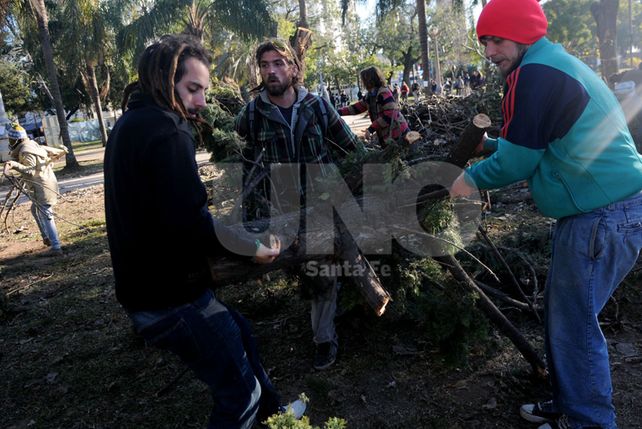 Manifestantes trasladaron las ramas que se encuentran en el parque para cercar el acampe e impedir que las retiren del lugar.