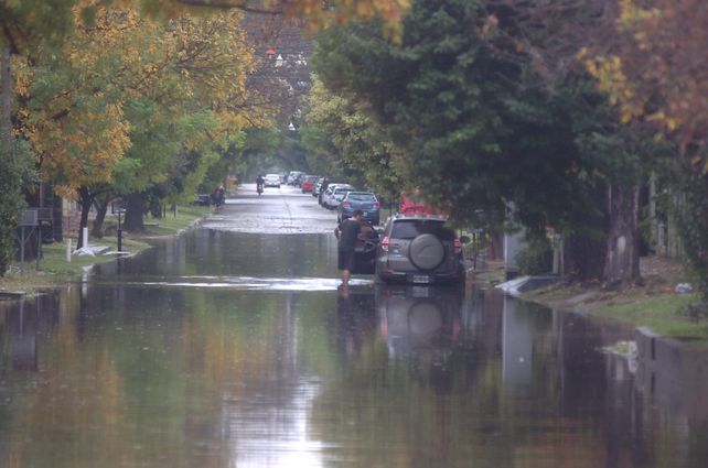 Tapado de agua. La situación en calle Alvear al 4300. Tapado de agua. La situación en calle Alvear al 4300.
