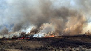 SNMF: tres de nueve incendios activos se combaten en territorio de Entre Ríos