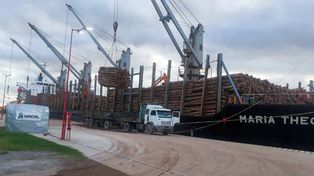 Movimiento en el puerto de Concepación del Uruguay. El buque proveniente de Marruecos completará su carga en Ibicuy.